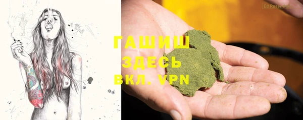 шишки Костерёво