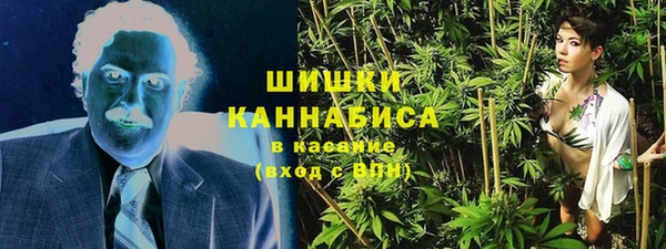 шишки Костерёво