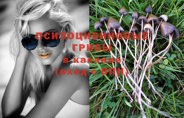 MDMA Козельск