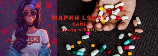 шишки Костерёво